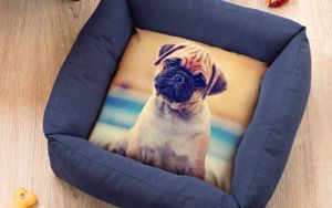 Caseta de mascota